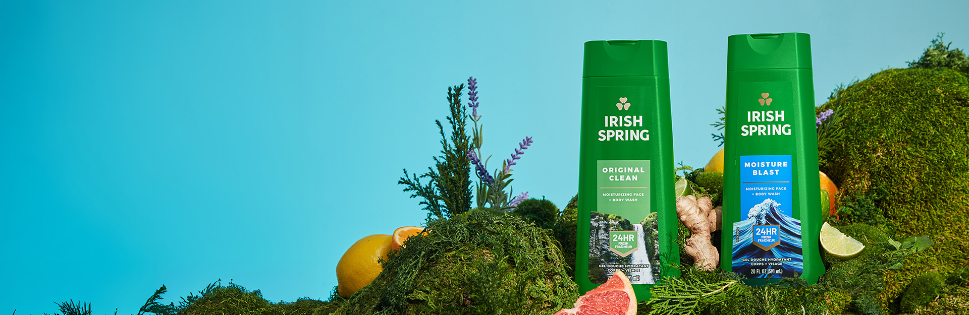 Sea and cave landscape